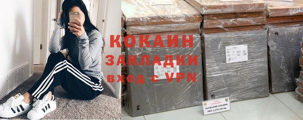шишки Лиски