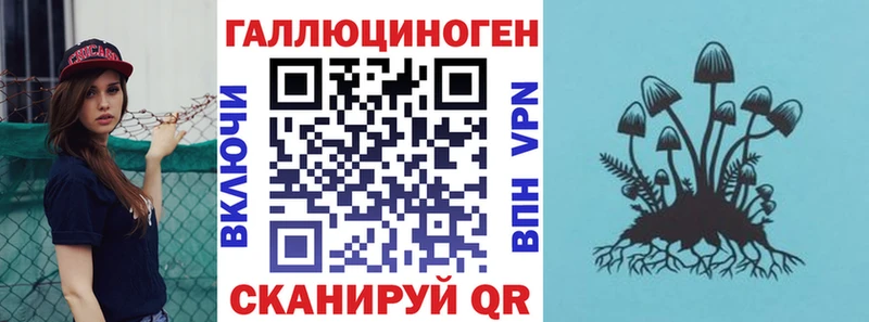 Псилоцибиновые грибы GOLDEN TEACHER  Купить  Горно-Алтайск 